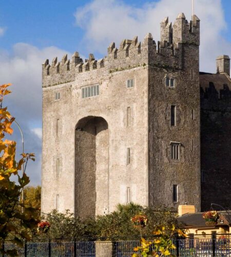 Kilmurry Lodge Hotel | Hotels In Limerick Ireland | Book Today
