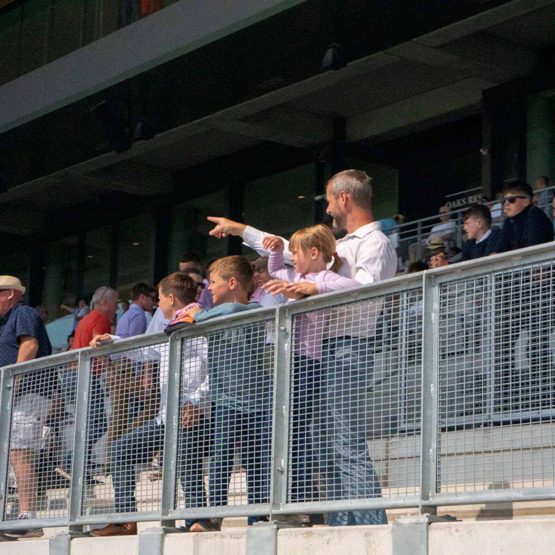 Limerick Greyhound Stadium